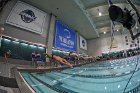 Swimming & Diving vs RWU  Swimming & Diving vs Roger Williams University. - Photo by Keith Nordstrom : Wheaton, Swimming